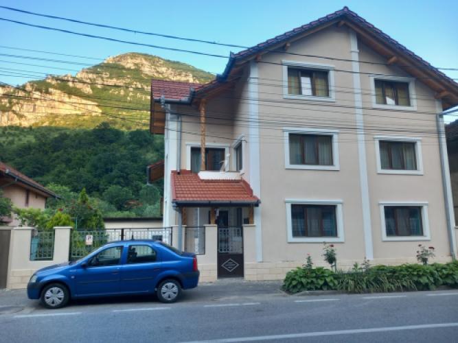 Casa Peneșel