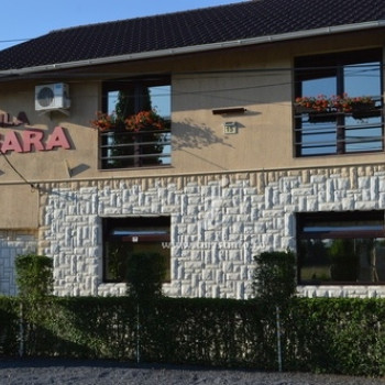 Vila Sara din Timișoara