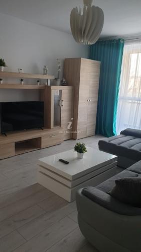 Apartament Central Radu