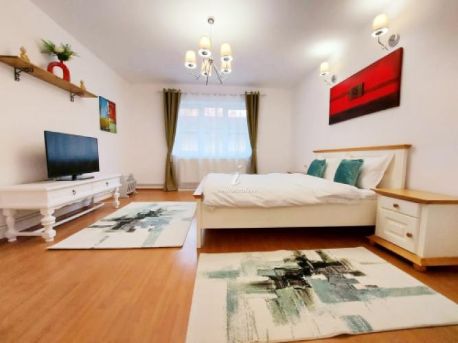 Casa Dușa - Apartament Crisstina