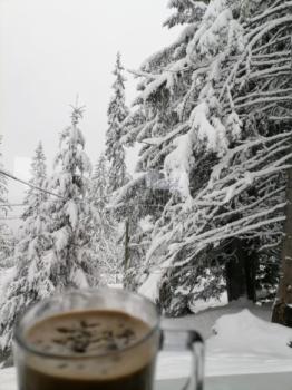 Cabana Sky View Rânca Transalpina