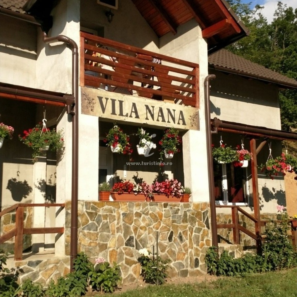 Vila Nana din Săsciori