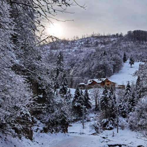 Cabana Valea Râsului