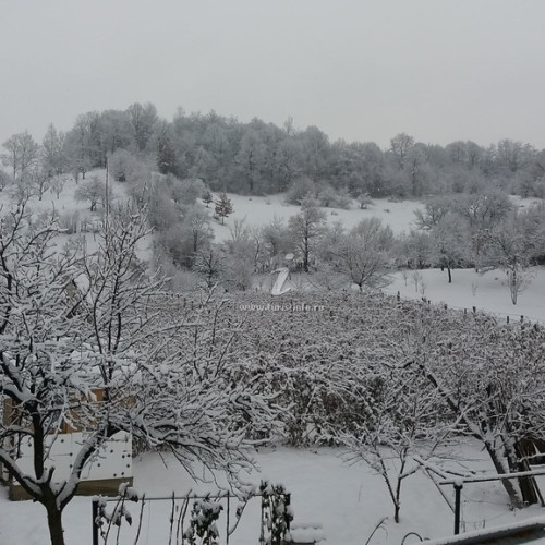 Casa de vacanță Casa cu Muri